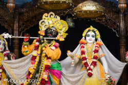 Daily Darshan