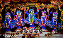 Daily Darshan