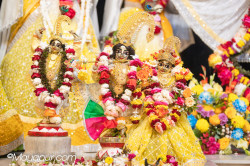 Daily Darshan