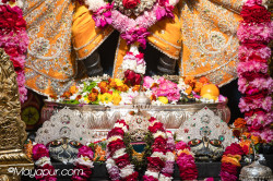 Daily Darshan