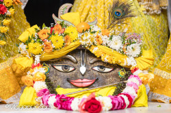 Daily Darshan