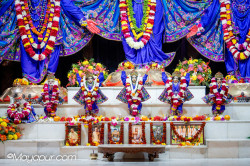 Daily Darshan