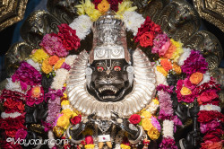 Daily Darshan
