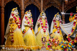 Daily Darshan