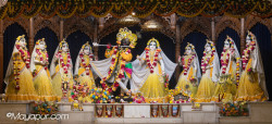 Daily Darshan