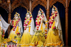 Daily Darshan