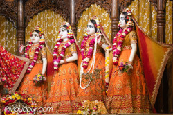 Daily Darshan