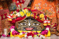 Daily Darshan
