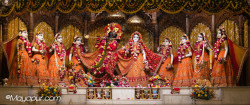 Daily Darshan
