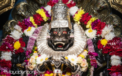 Daily Darshan