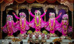 Daily Darshan