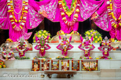 Daily Darshan