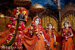 Daily Darshan