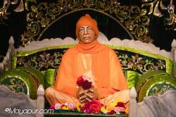 Daily Darshan