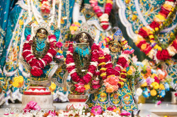 Daily Darshan