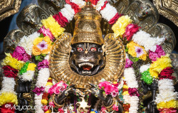 Daily Darshan