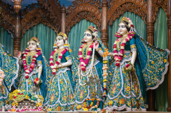 Daily Darshan