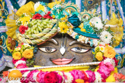 Daily Darshan