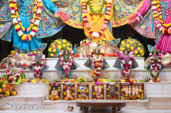 Daily Darshan