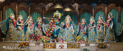 Daily Darshan