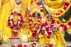 Daily Darshan