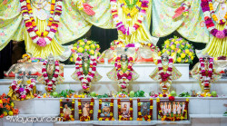 Daily Darshan