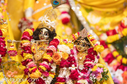 Daily Darshan