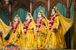 Daily Darshan
