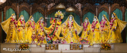 Daily Darshan
