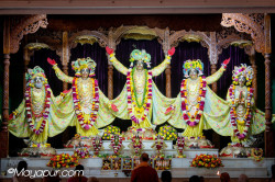 Daily Darshan