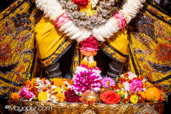 Daily Darshan