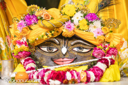 Daily Darshan