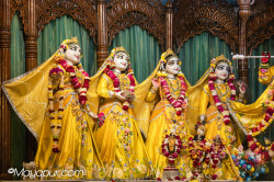 Daily Darshan