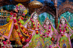 Daily Darshan