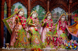 Daily Darshan