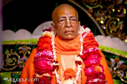 Daily Darshan