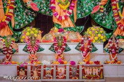 Daily Darshan