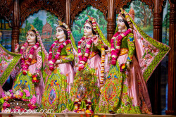 Daily Darshan