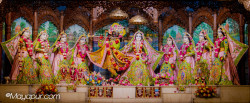 Daily Darshan