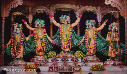 Daily Darshan