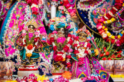 Daily Darshan