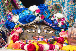 Daily Darshan