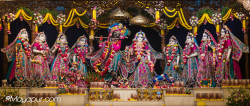 Daily Darshan