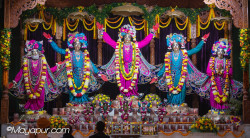 Daily Darshan