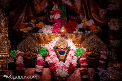 Daily Darshan