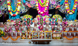 Daily Darshan