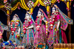 Daily Darshan