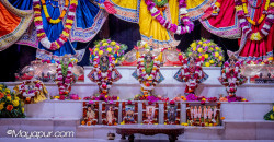 Daily Darshan