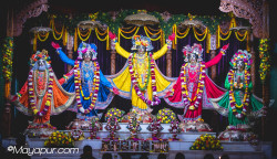 Daily Darshan