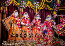 Daily Darshan